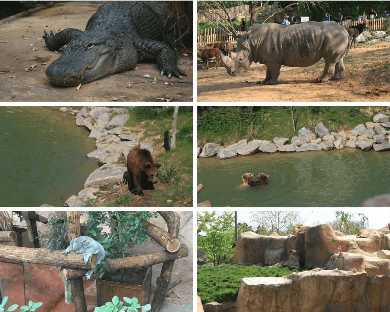Zoo de Beauval, Loir-et-Cher