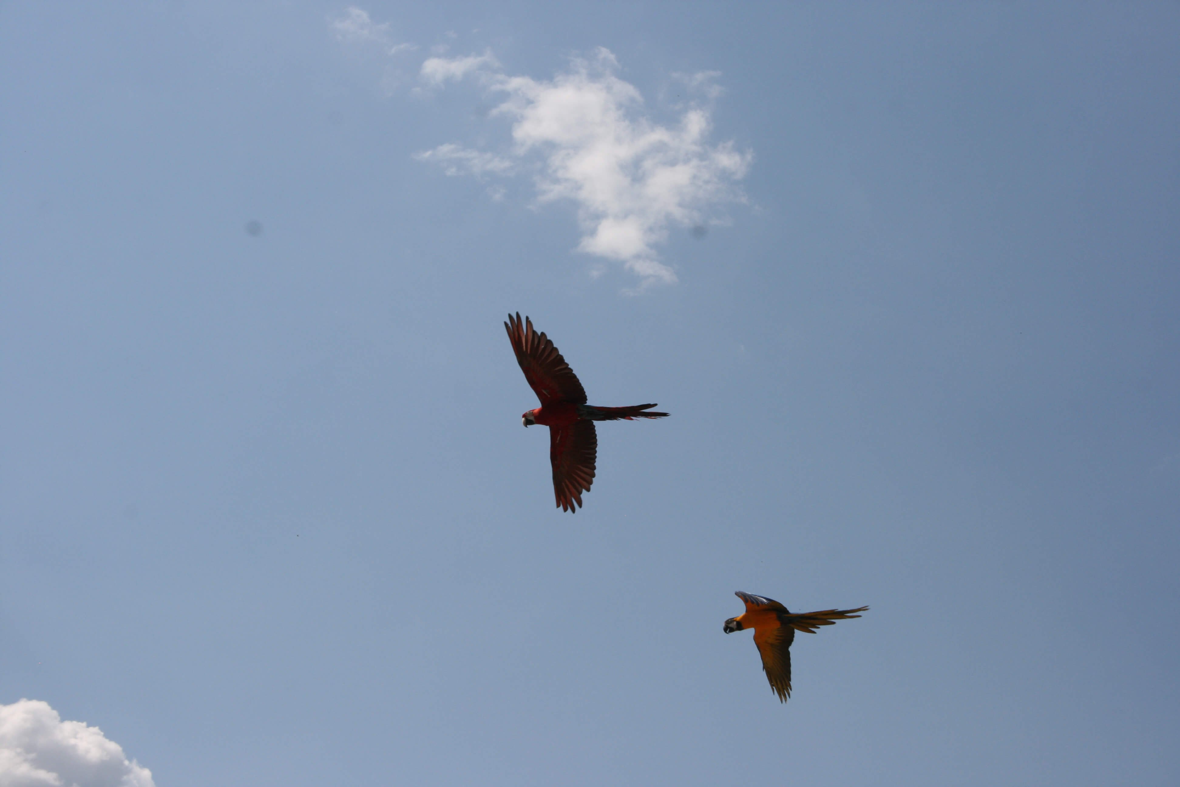 Zoo de Beauval, Loir-et-Cher