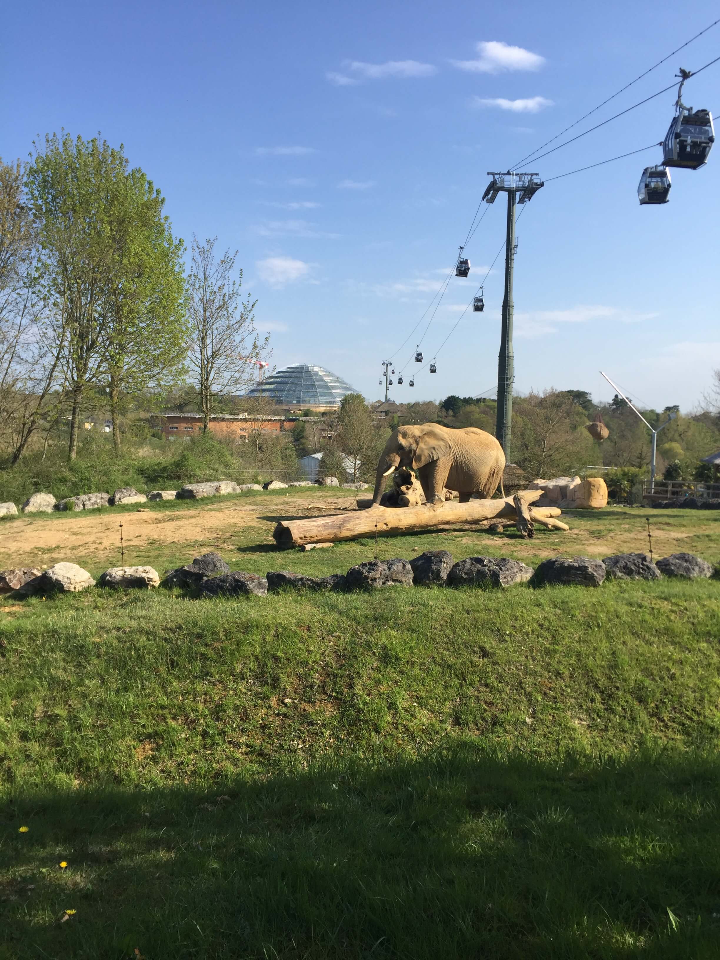 Zoo de Beauval, Loir-et-Cher