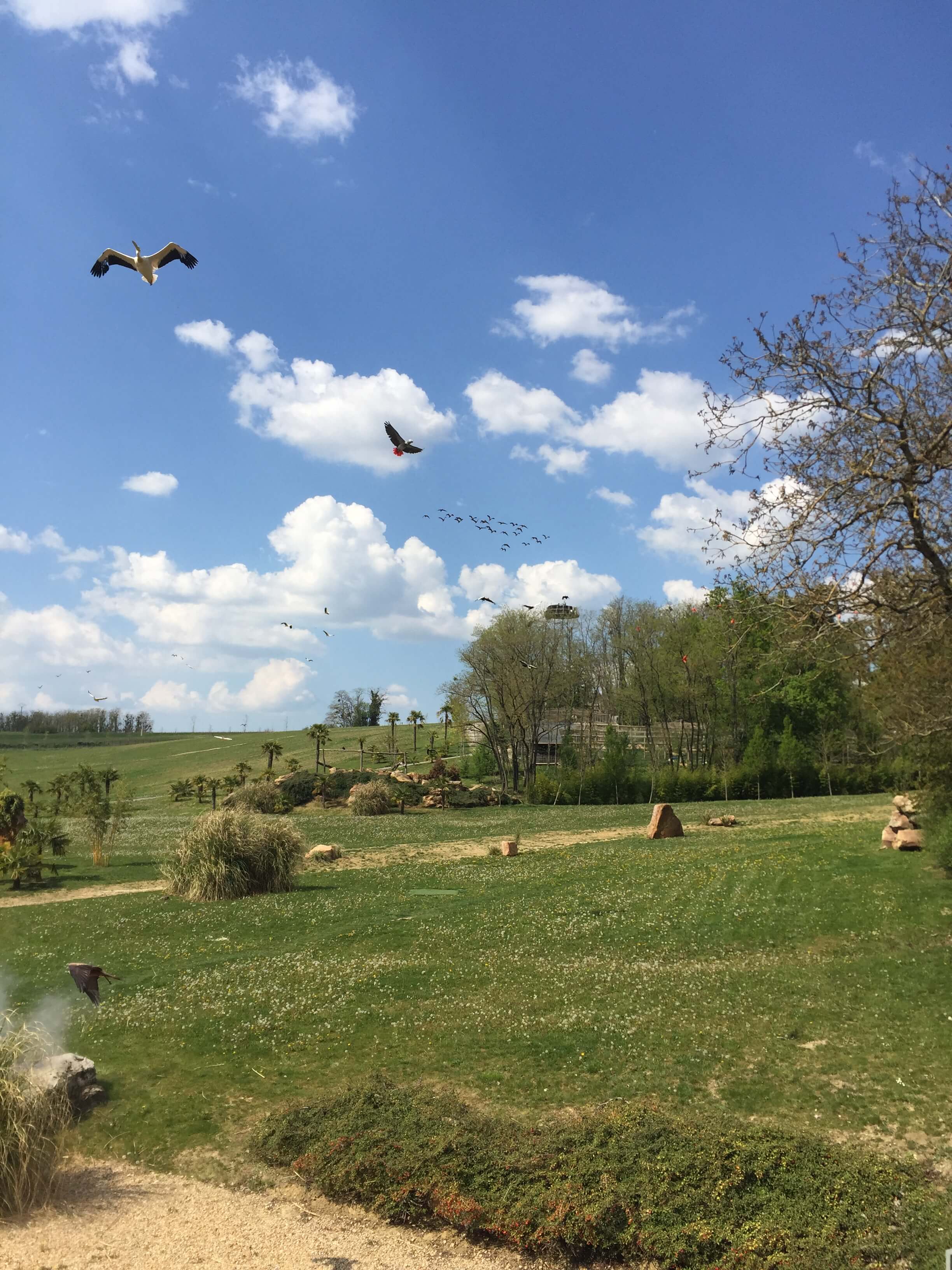 Zoo de Beauval, Loir-et-Cher