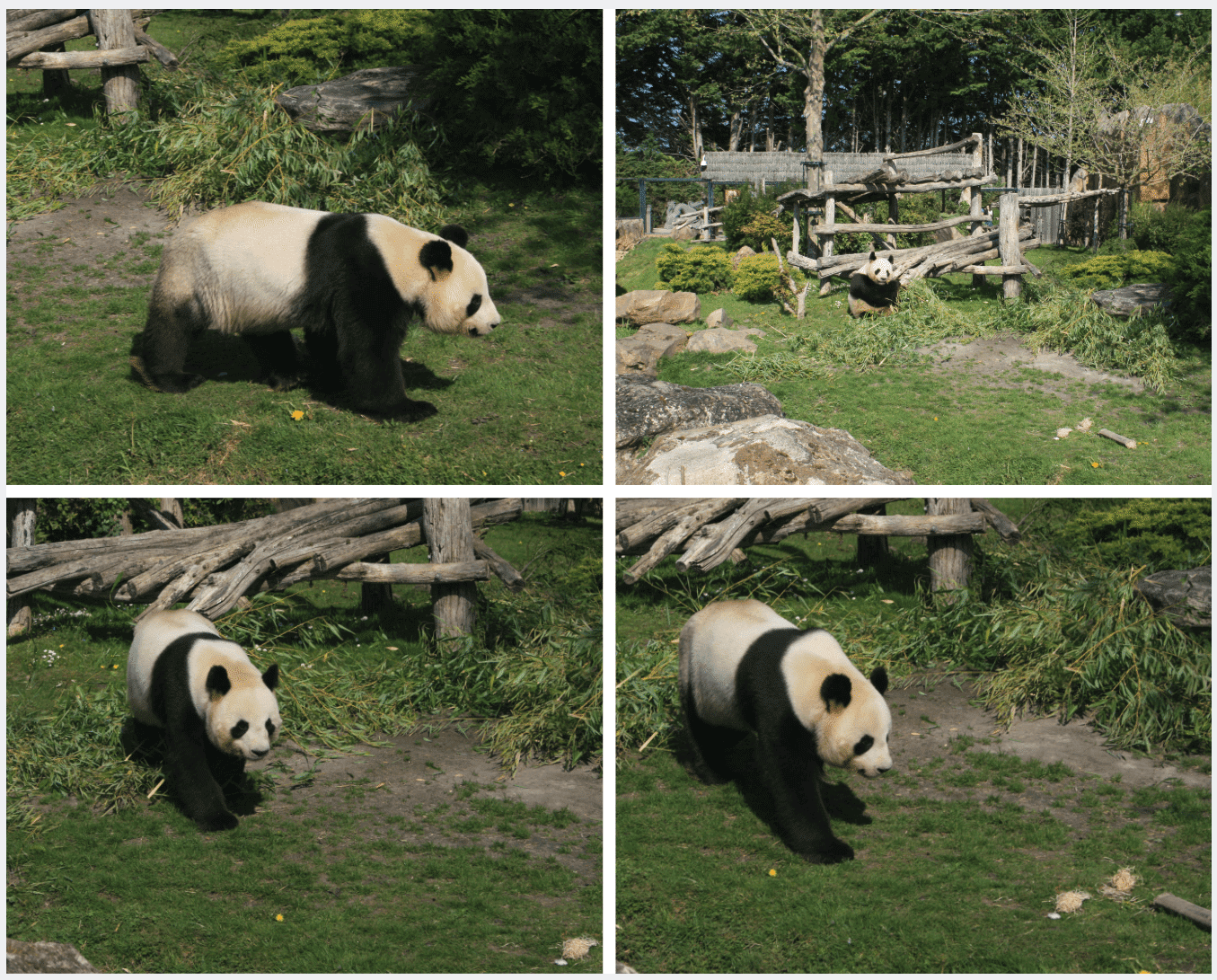 Zoo de Beauval, Loir-et-Cher